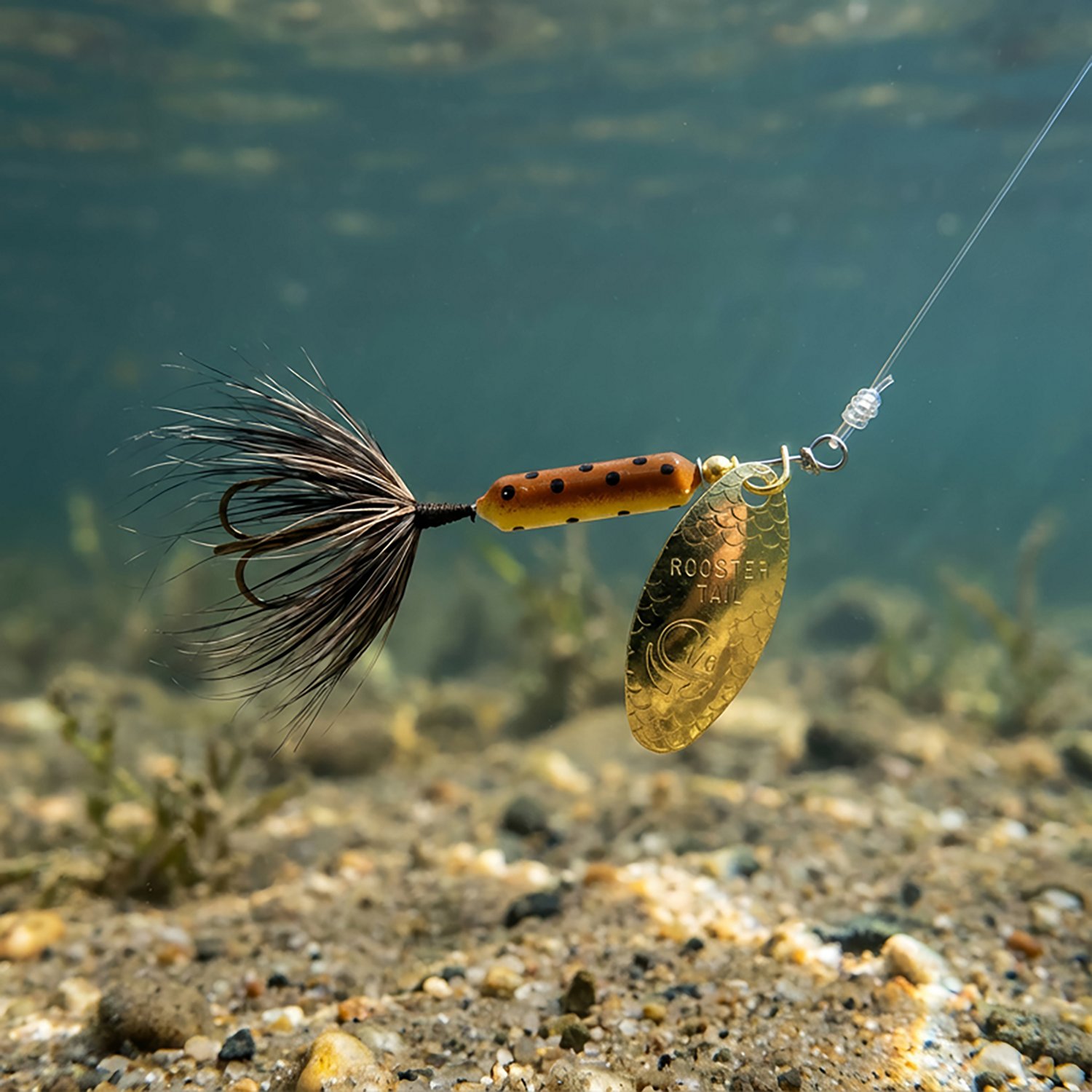 Yakima Rooster Tail 1/16 oz. In-Line Spinner - view number 2