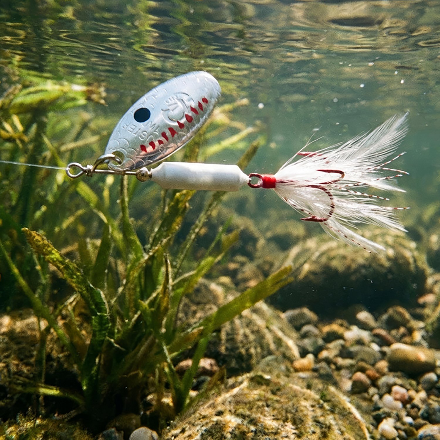 Worden's Rooster Tail 1/8 oz In-Line Spinner                                                                                     - view number 2