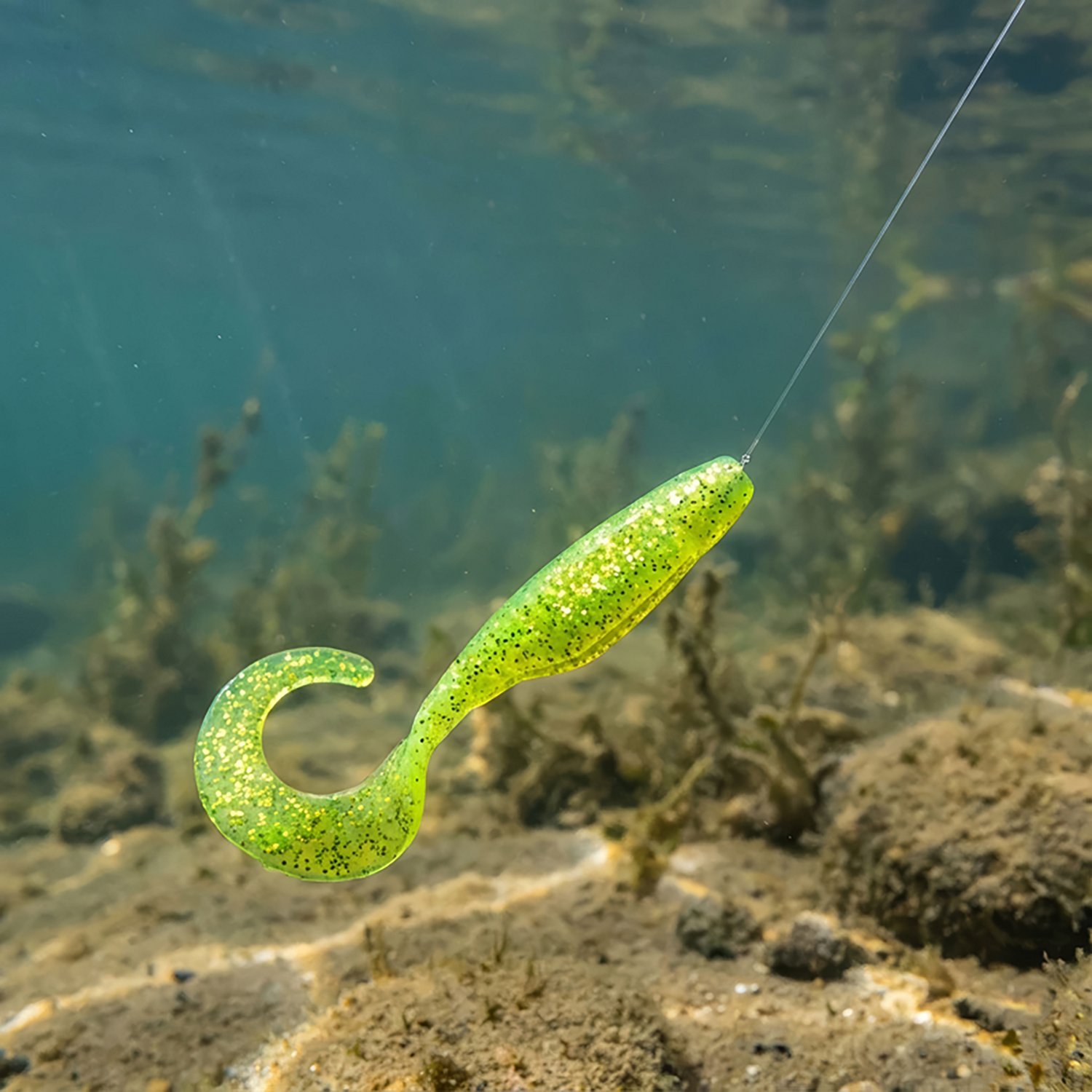 Bass Assassin Lures 4" Saltwater Curly Tail Shad Lure 10-Pack - view number 2