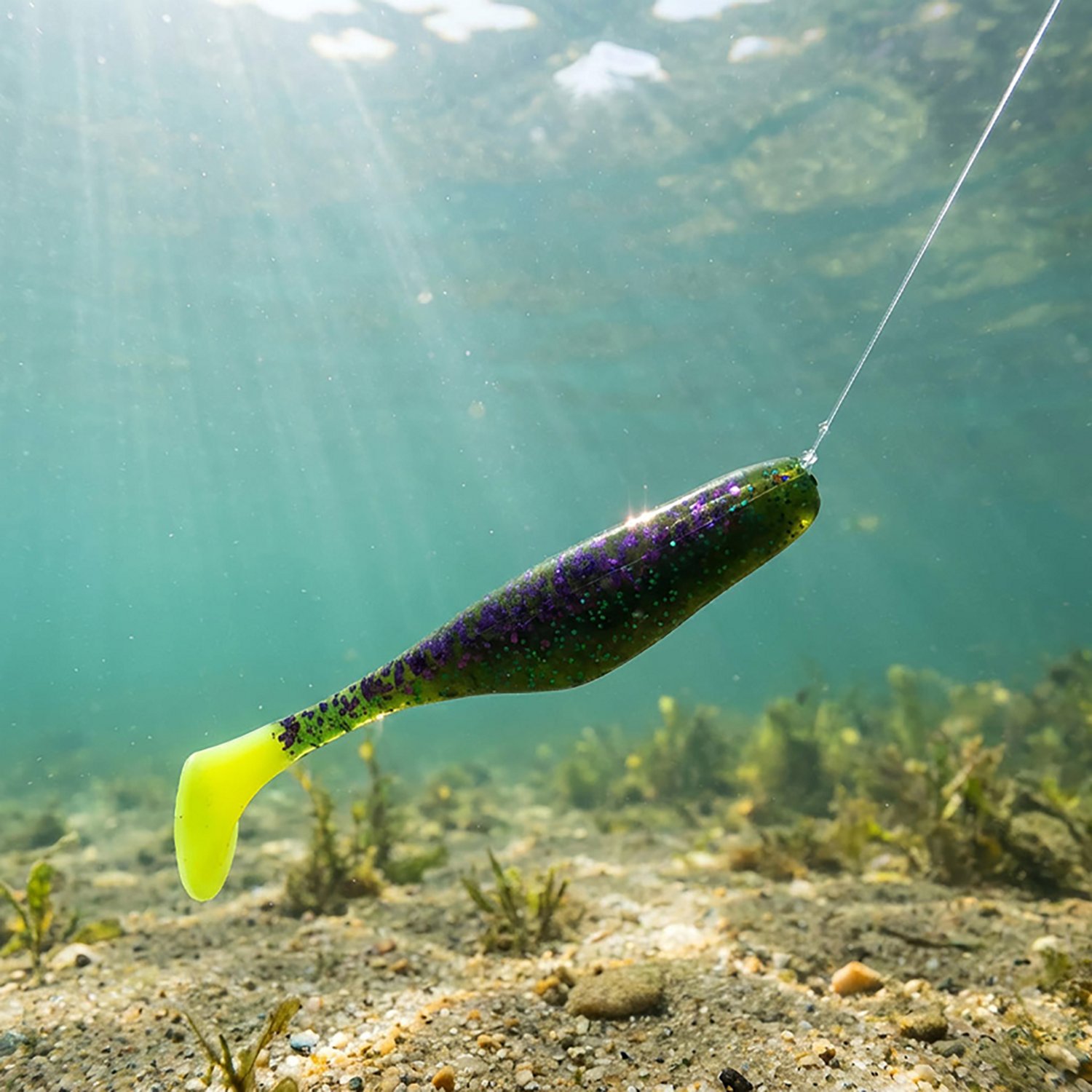 Bass Assassin Lures 4" Sea Shad Lure 10-Pack - view number 2