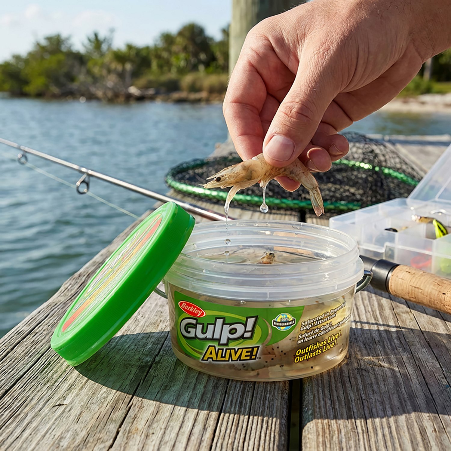 Berkley® Gulp!® Alive!™ 3" Shrimp Small Bucket - view number 2