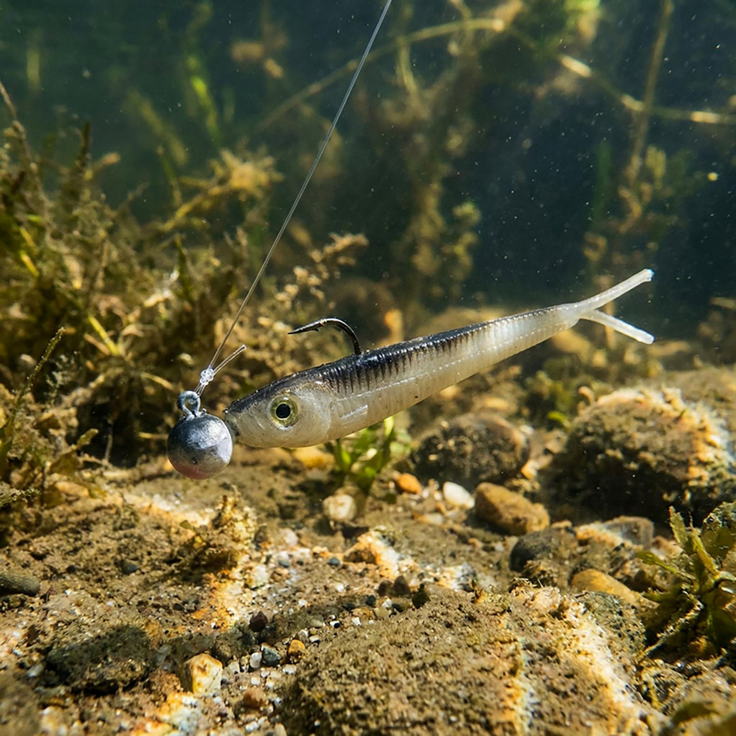 Berkley® 3" Power® Minnow Bait - view number 2