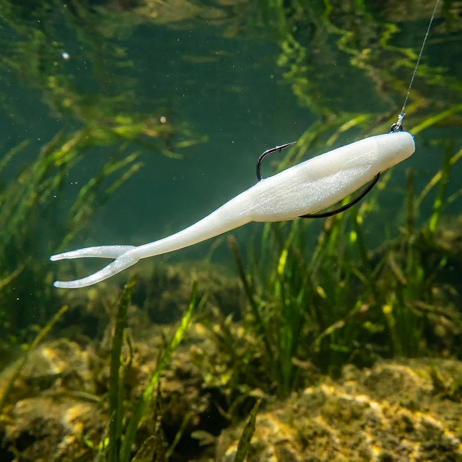 Zoom Salty Super Fluke 5" Jerk Baits 10-Pack - view number 2