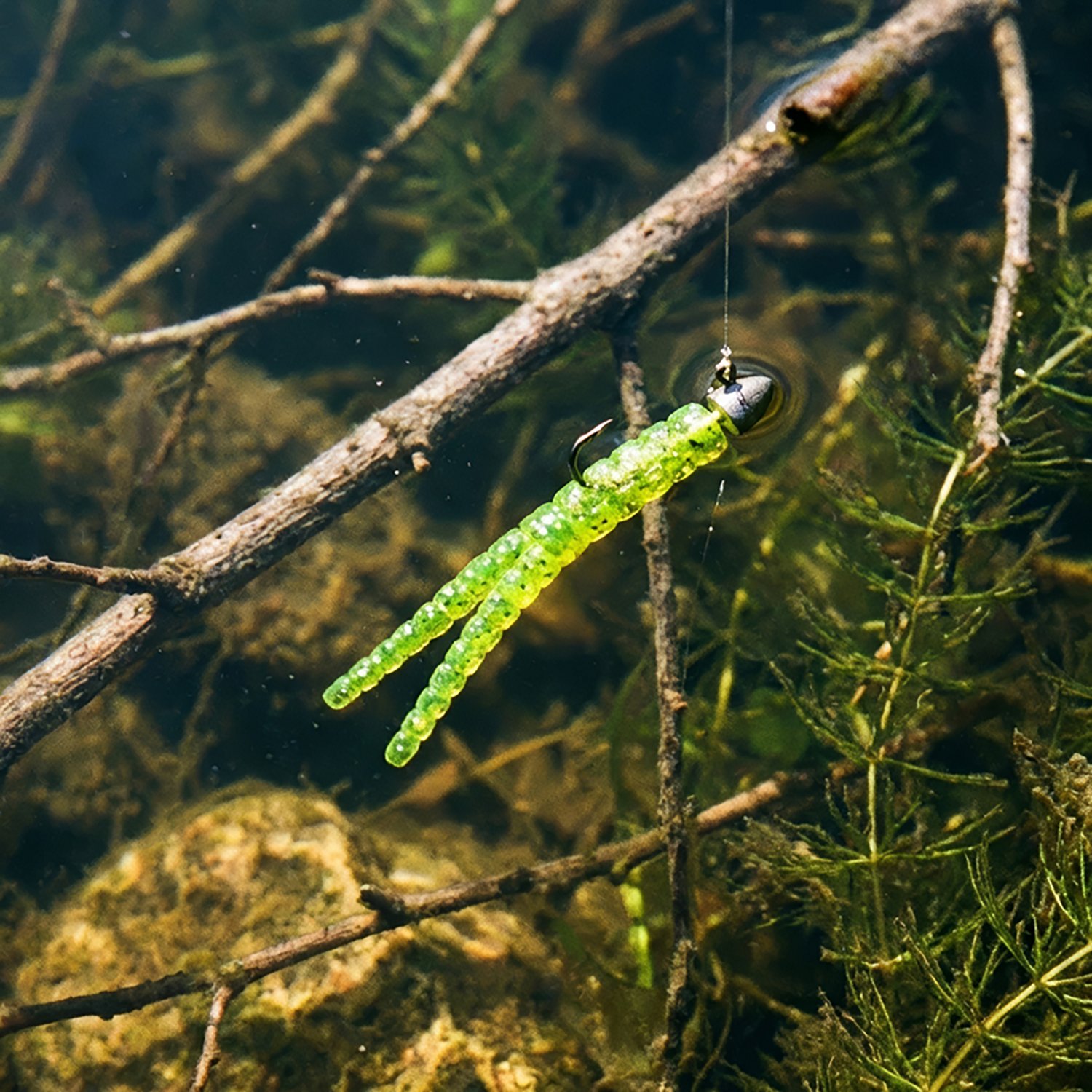 Crappie Magnet 1-1/2 in Bodies 10-Pack                                                                                           - view number 2