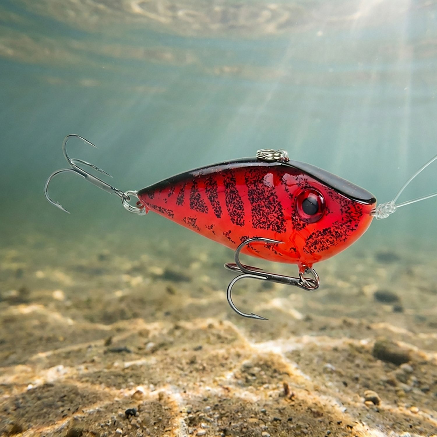 Strike King Red Eyed Shad 1/2 oz Lipless Crankbait - view number 2