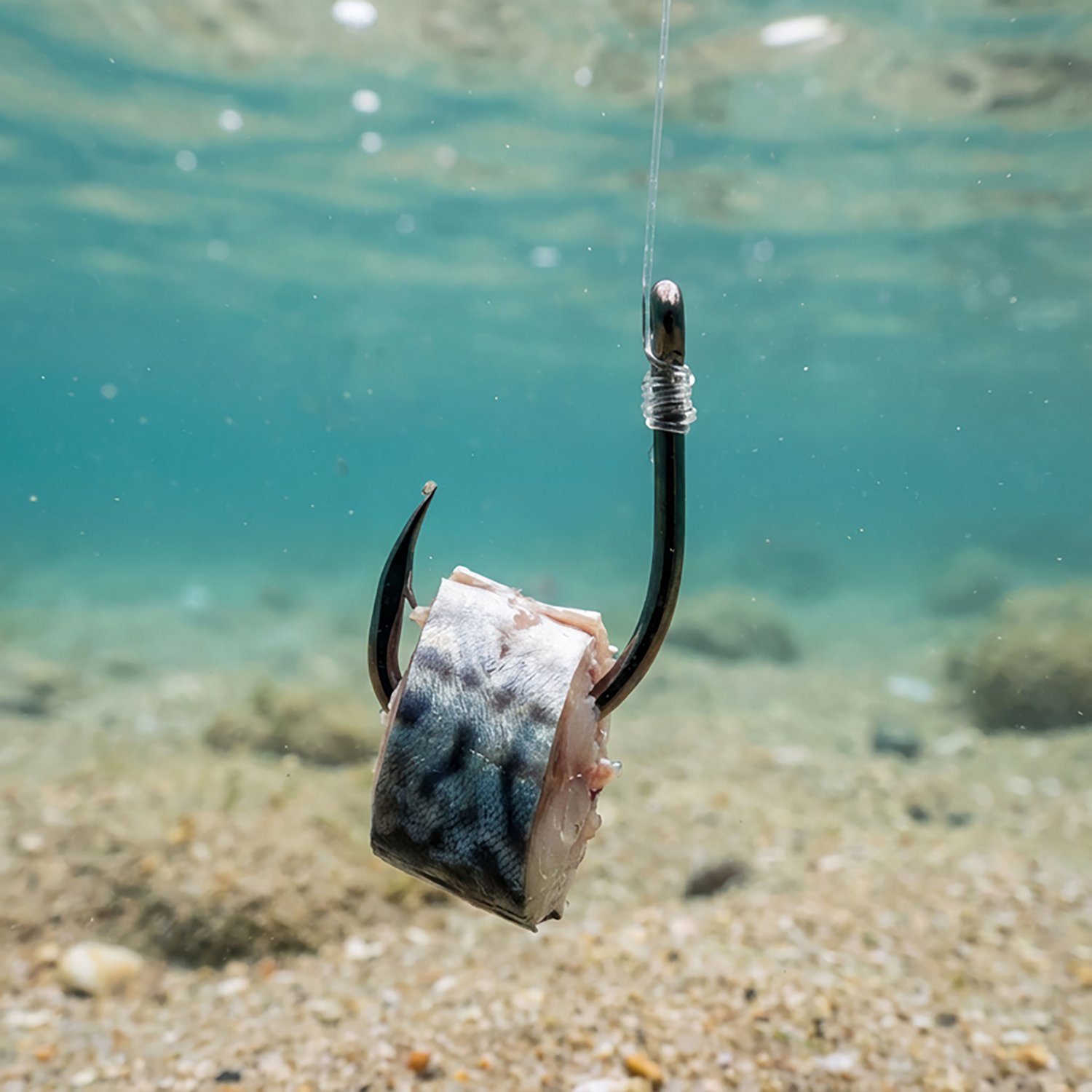 Gamakatsu Size 3/0 Live Bait Single Hooks 25-Pack - view number 2