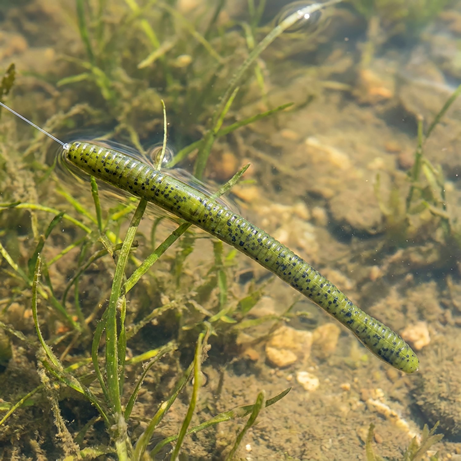 Zoom Magnum Finesse Worm Baits 10-Pack - view number 2