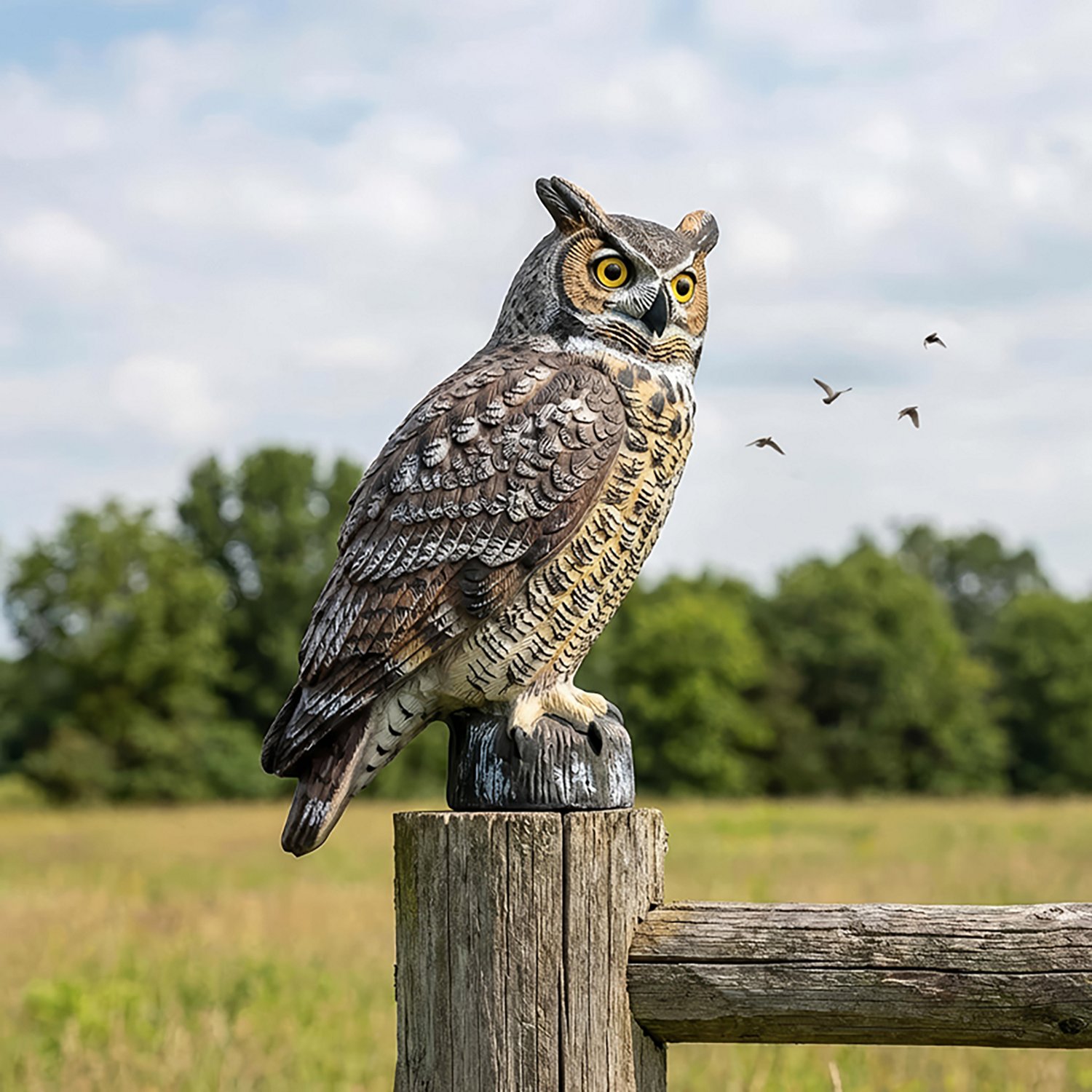 Game Winner® 3-D Owl Decoy - view number 2