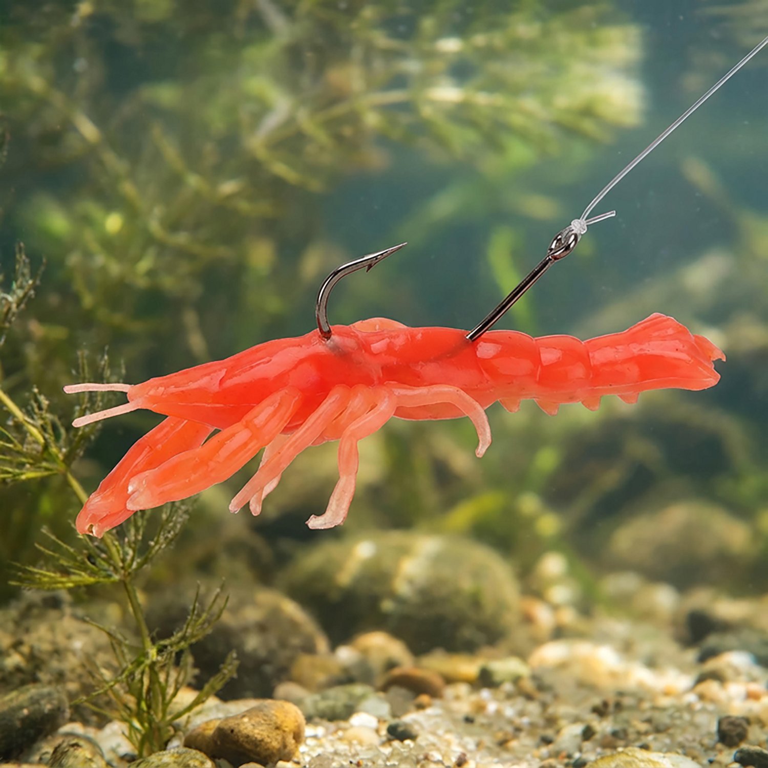 Berkley® Gulp!® 3" Ghost Shrimp Baits - view number 2