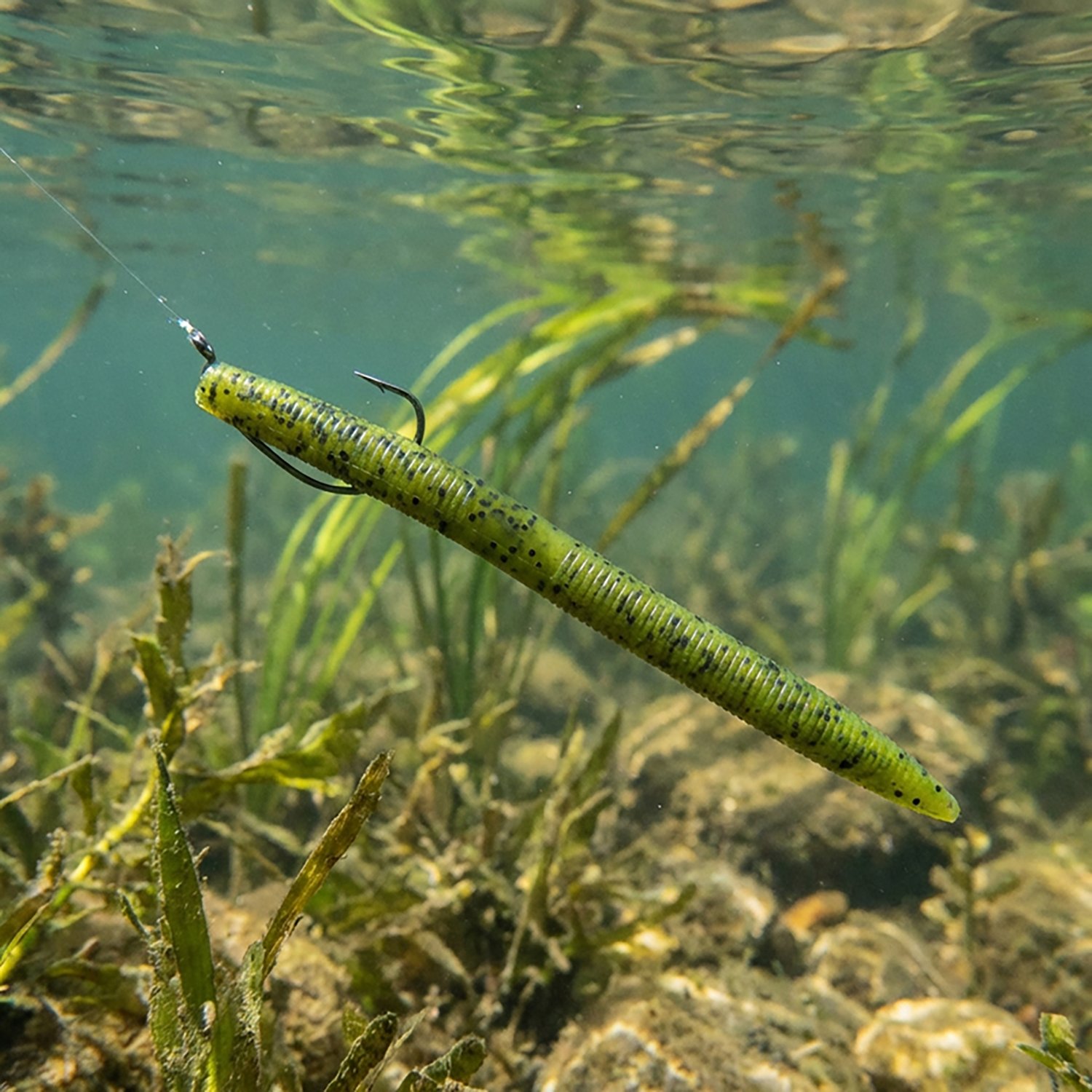 Strike King Shim-E-Stick Soft Baits 8-Pack                                                                                       - view number 2