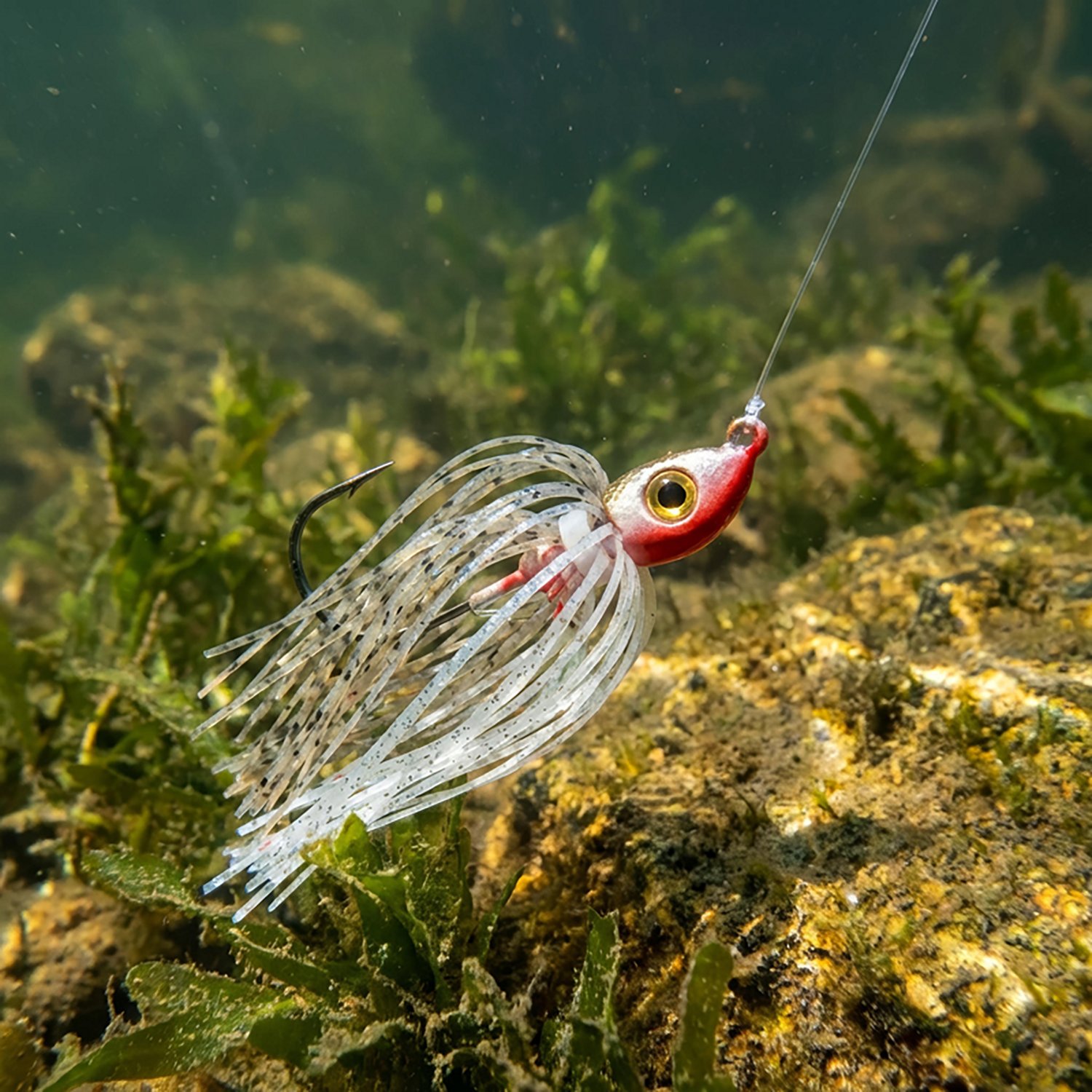 Strike King Tour-Grade 1/4 oz. Swim Jig                                                                                          - view number 2