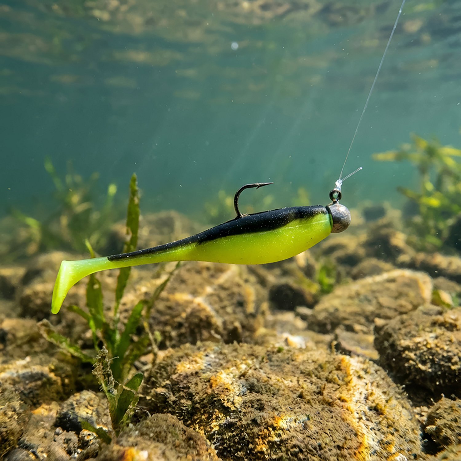 Bobby Garland 2 in Baby Shad Soft Baits 18-Pack - view number 2