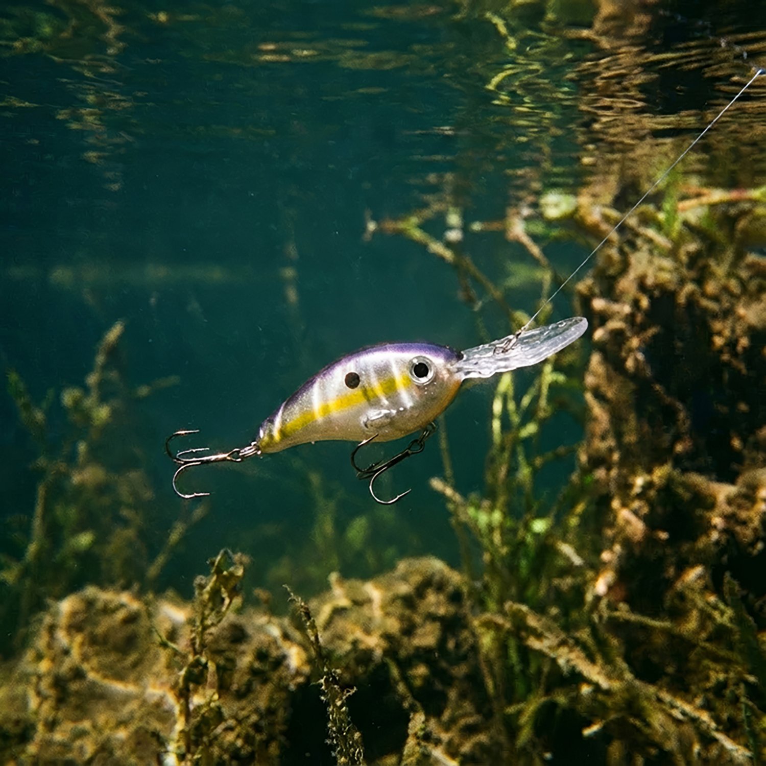 Strike King Pro-Model 6XD 4-3/4" Crankbait - view number 2