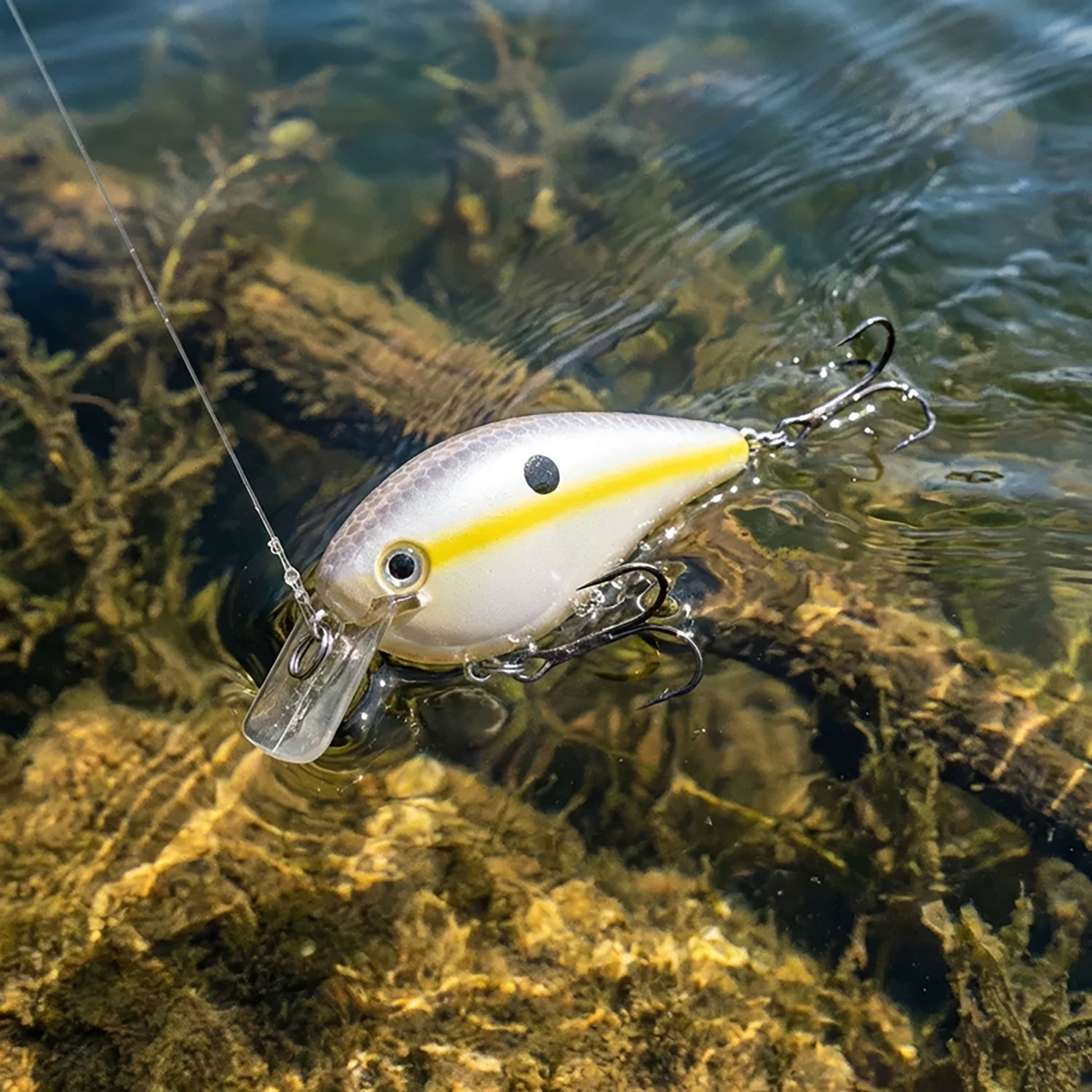 Strike King KVD 1.5 3" Crankbait - view number 2