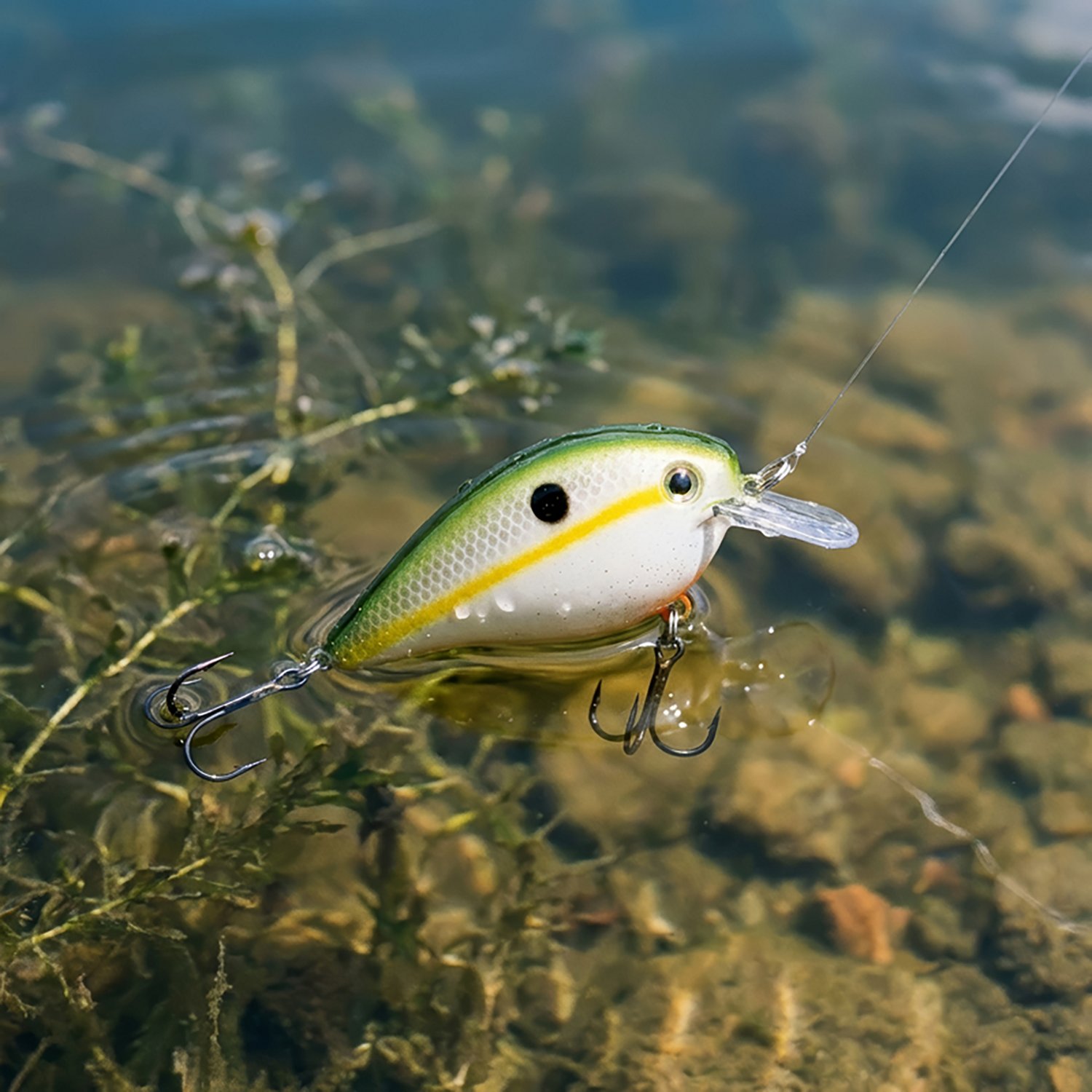 Strike King KVD 2.5 3-1/4" Crankbait - view number 2