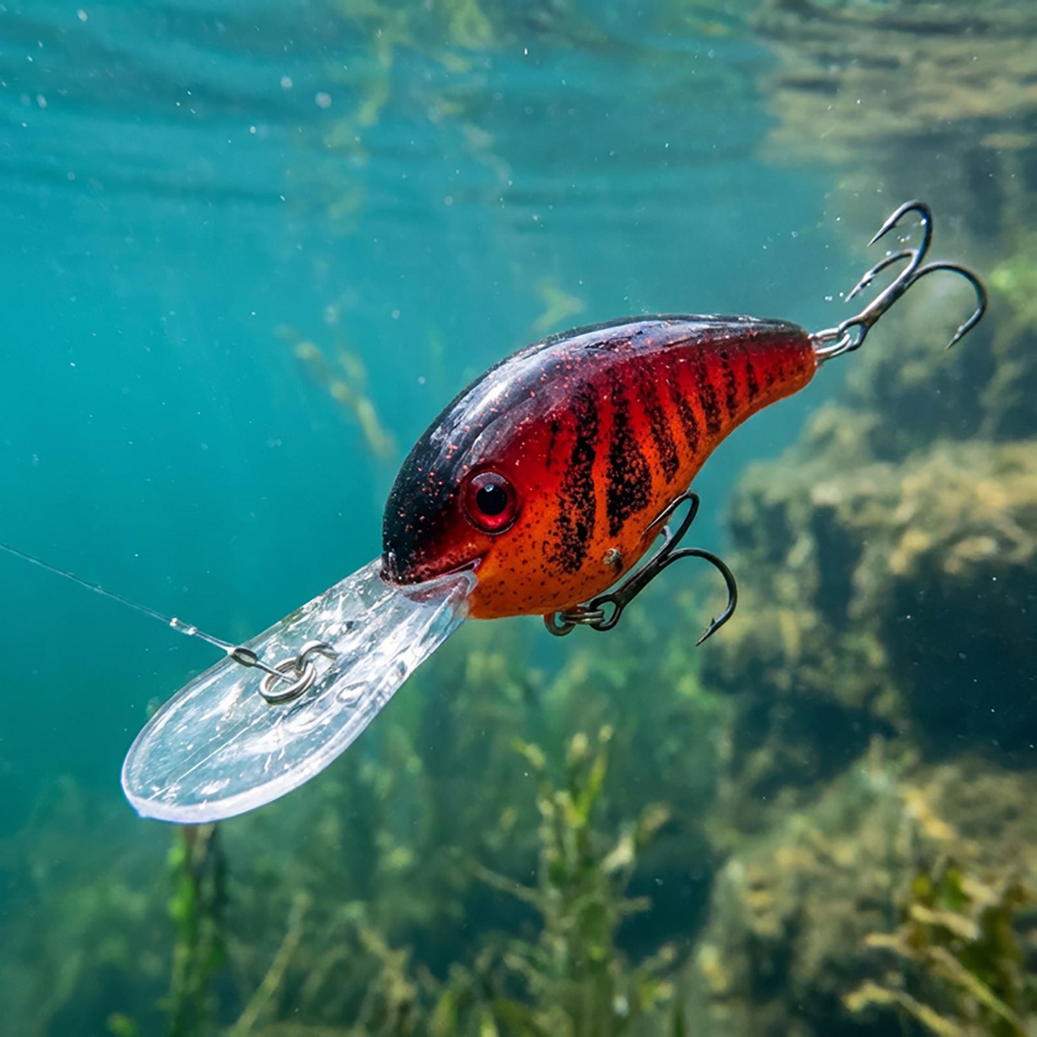 Strike King® Pro-Model® 5XD Crankbait                                                                                          - view number 2