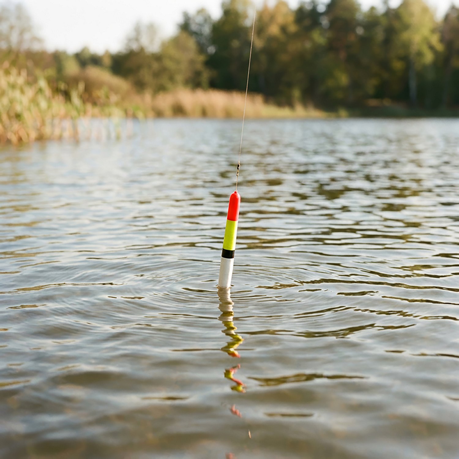 Little Joe 9 in Pole Float - view number 2