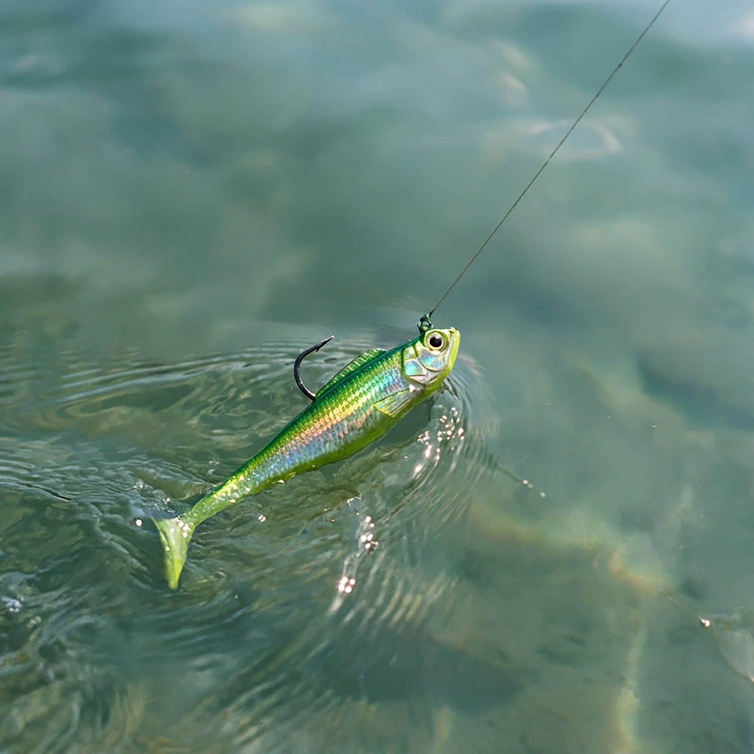 Tsunami Paddle Tail Minnows 4-Pack - view number 2
