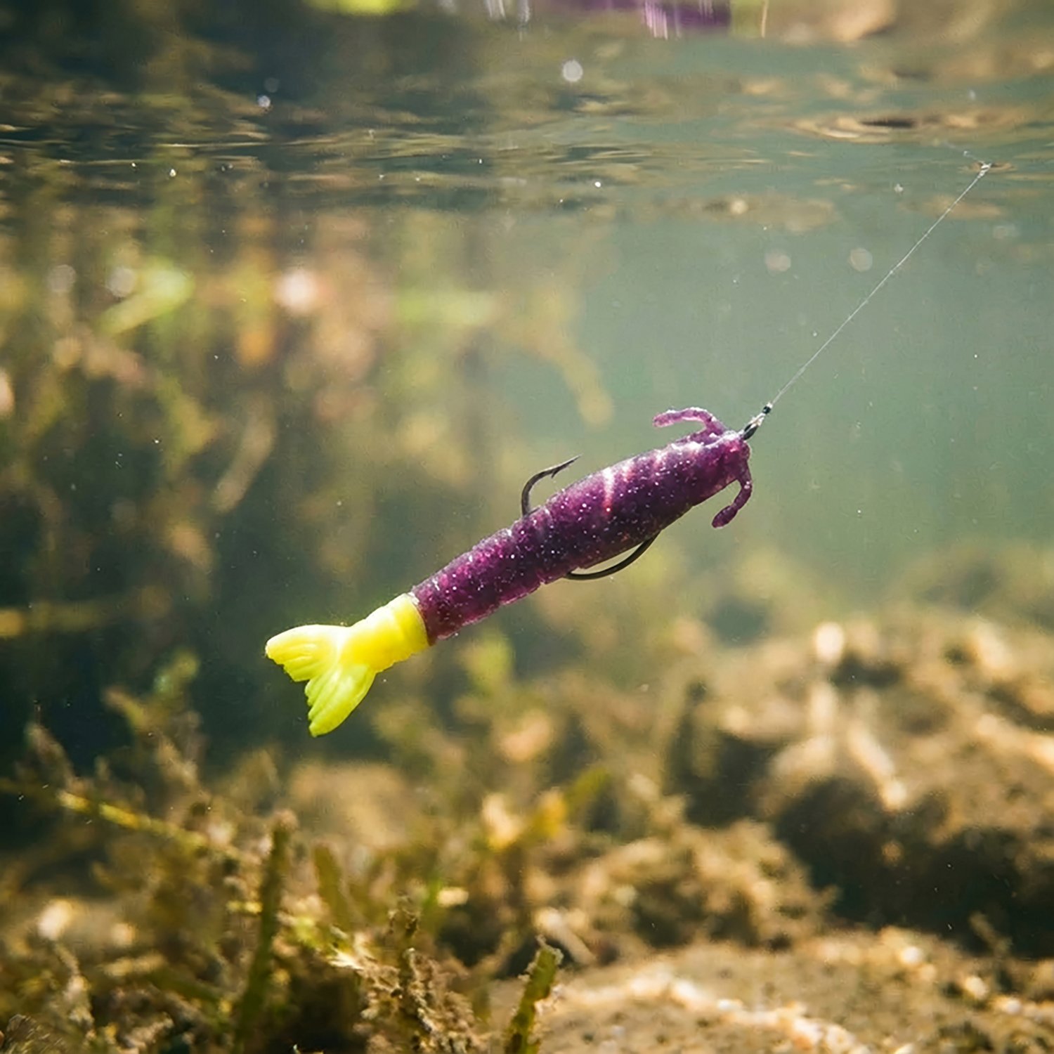 Berkley® Gulp!® 3" Shrimp Baits 6-Pack - view number 2