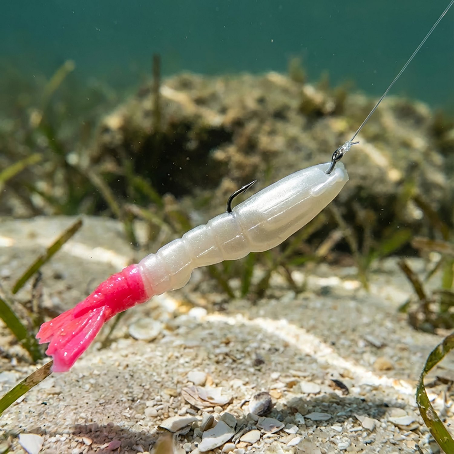 Berkley® Gulp!® 3" Shrimp Baits 6-Pack - view number 2