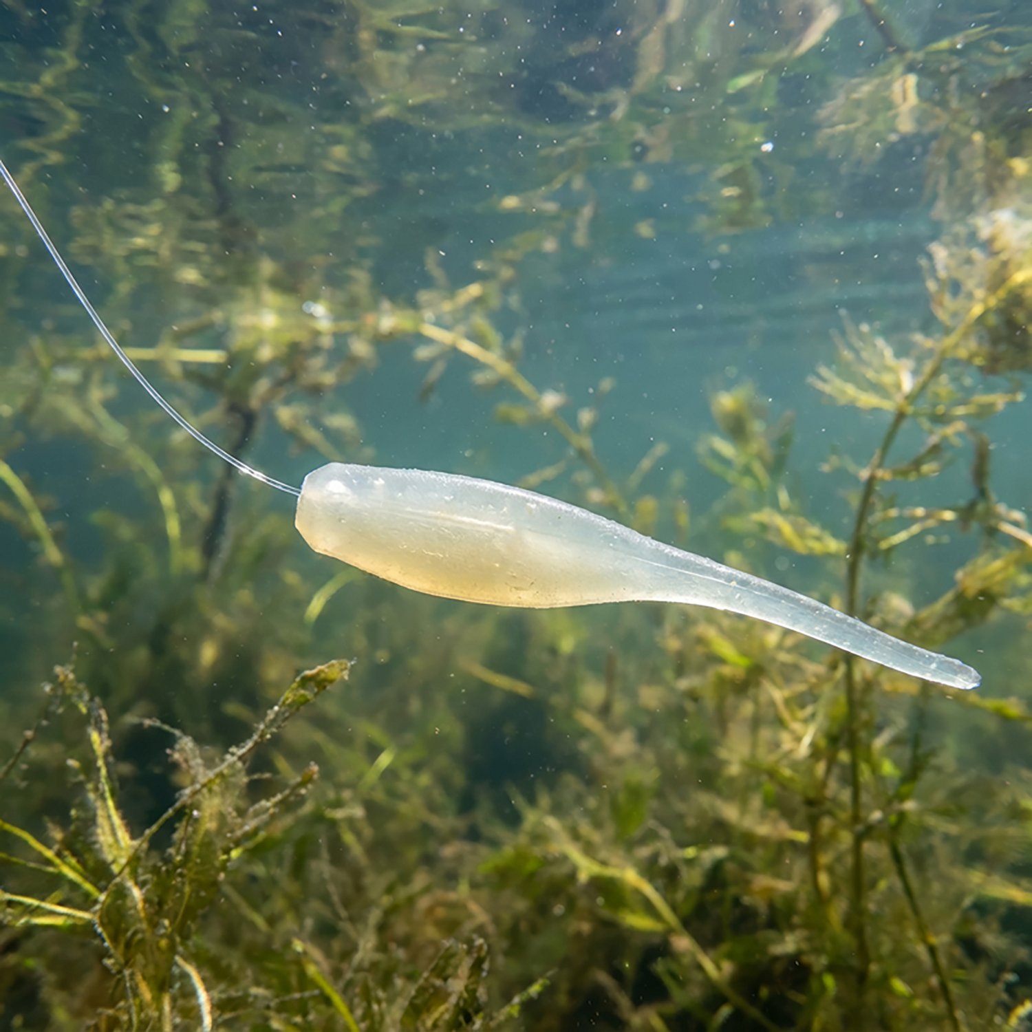 Gene Larew Bobby Garland 2" Baby Shad 18-pack - view number 2