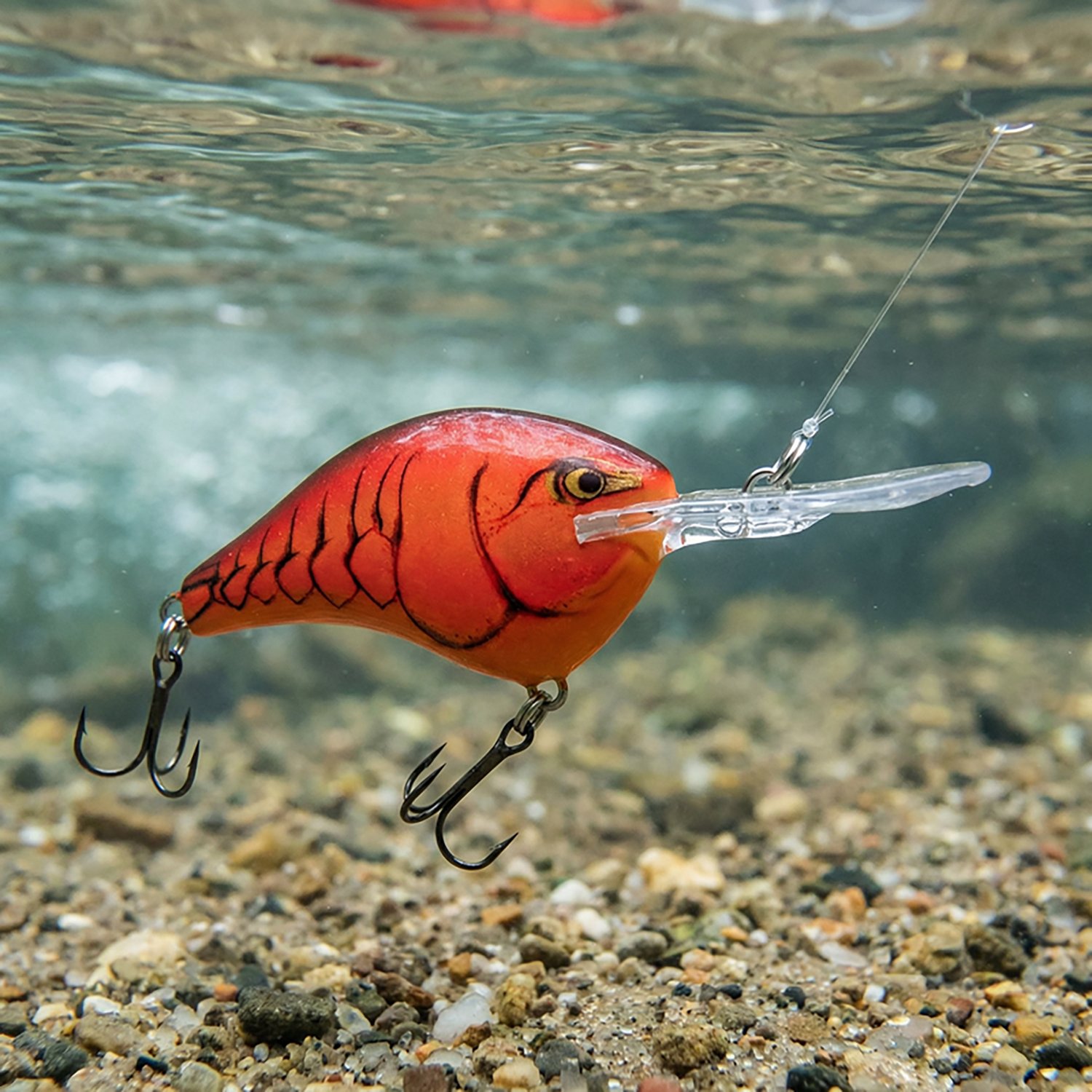 Rapala® DT® Series DT06 Crankbait | Academy