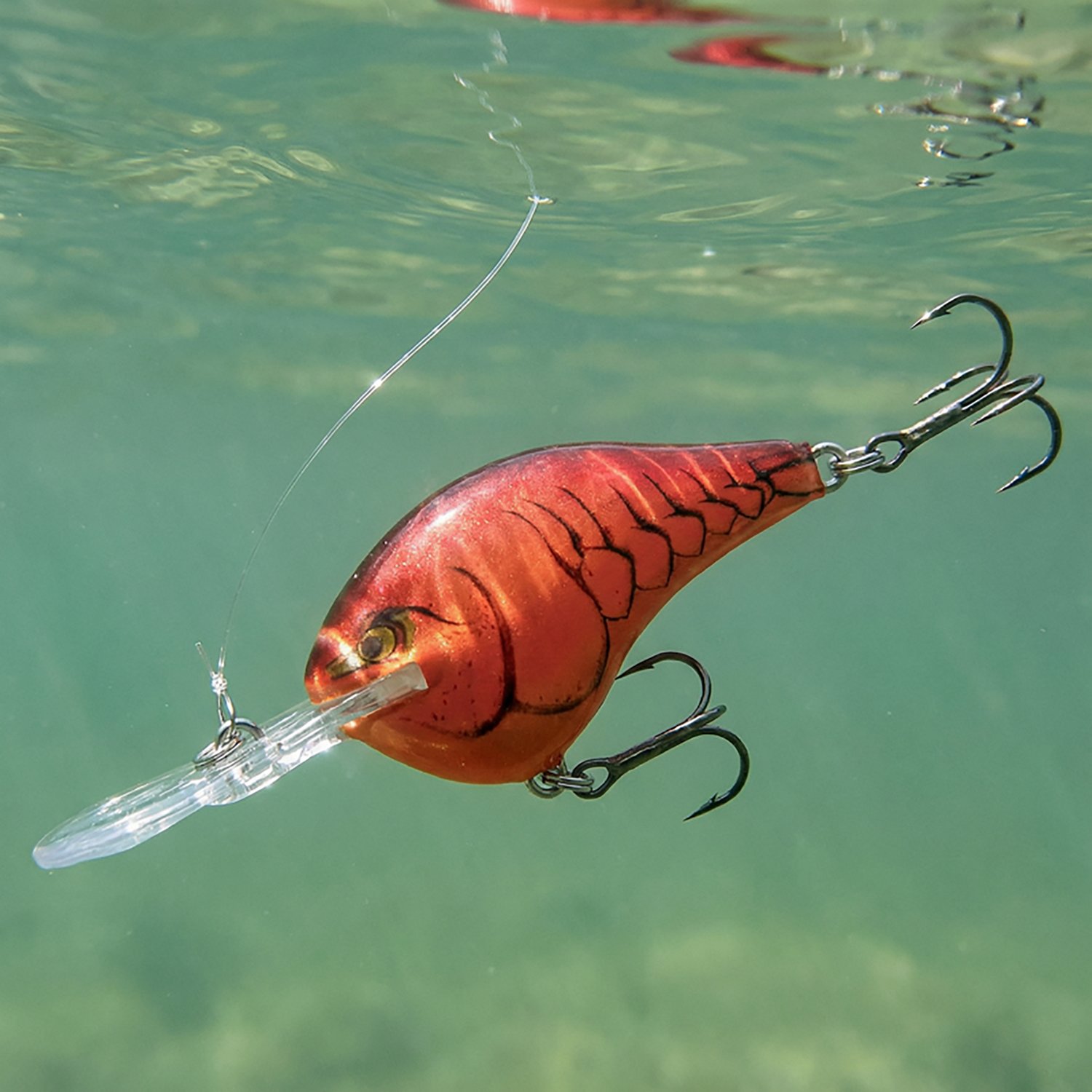 Rapala® DT® Series DT10 Crankbait - view number 2