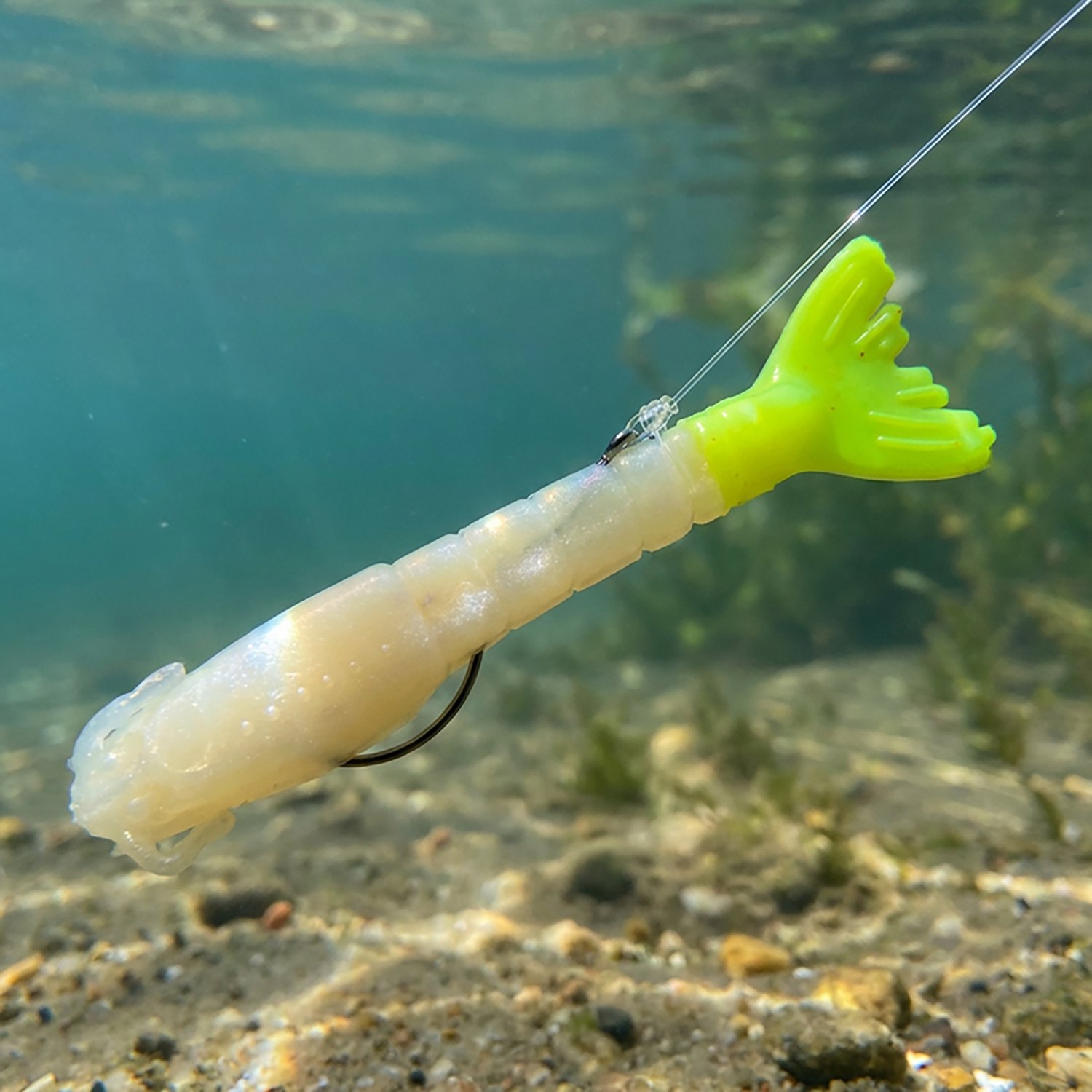 Berkley® Gulp!® 4" Shrimp Baits 4-Pack - view number 2