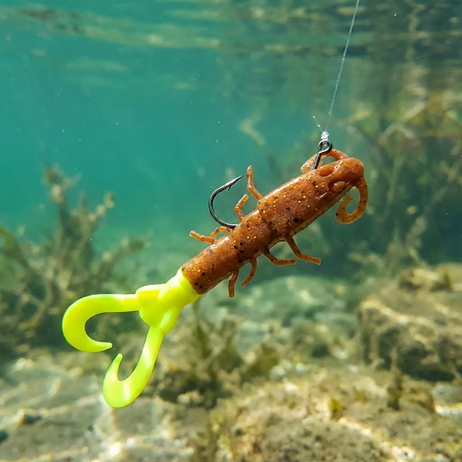 Berkley® Gulp!® 3" Mantis Shrimp Baits 6-Pack - view number 2