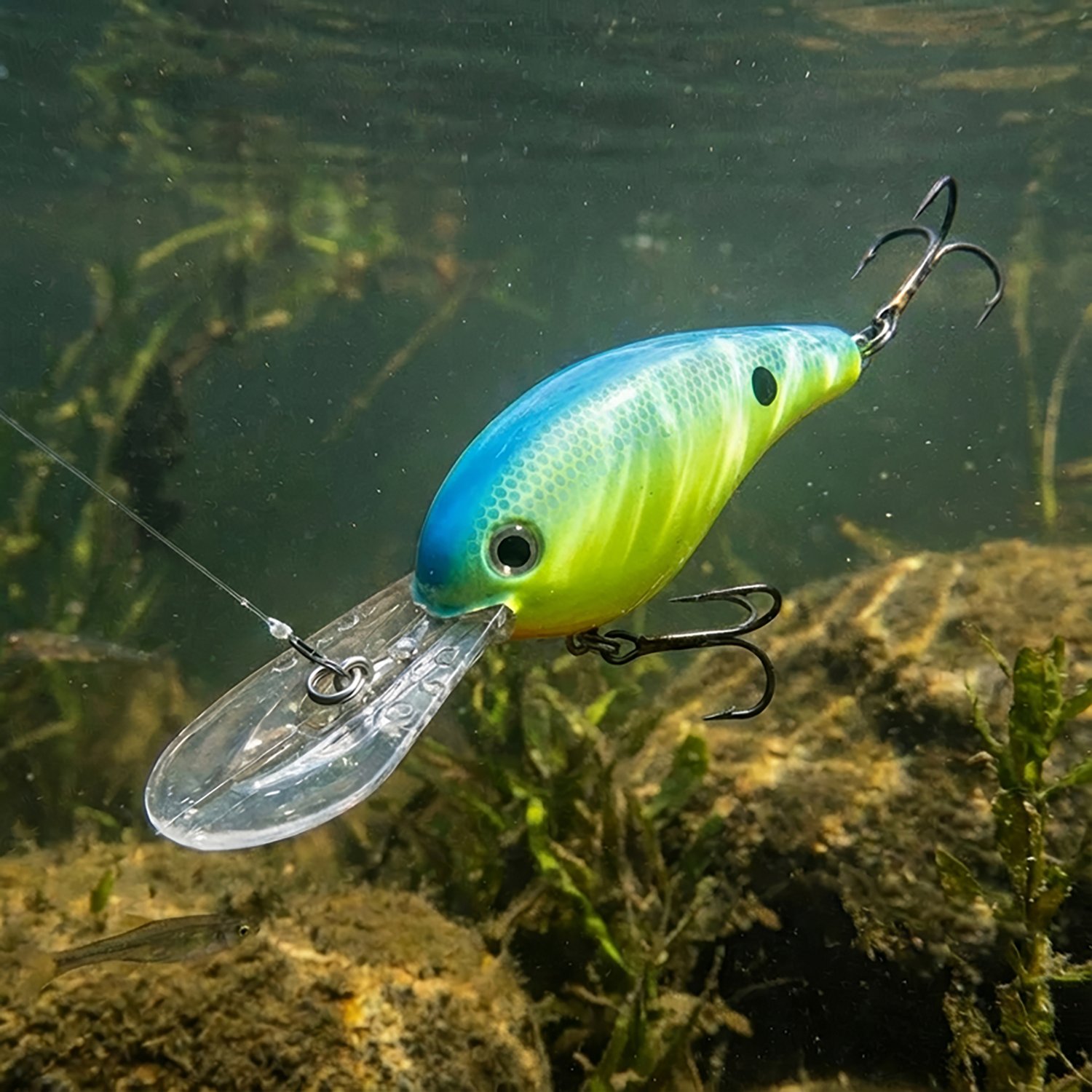 Strike King Pro Model 10XD Crankbait - view number 2