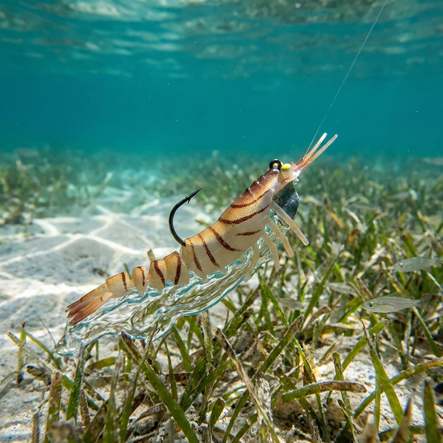 Egret Baits Vudu Shrimp Soft Baits 2-Pack                                                                                        - view number 2