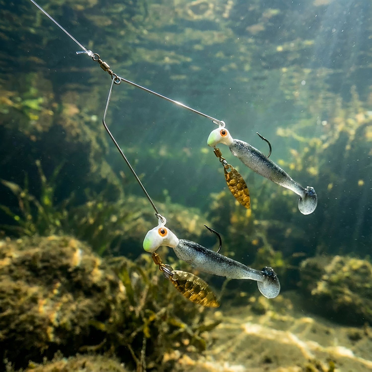 Road Runner® Bang Shad Buffet Rig                                                                                               - view number 2