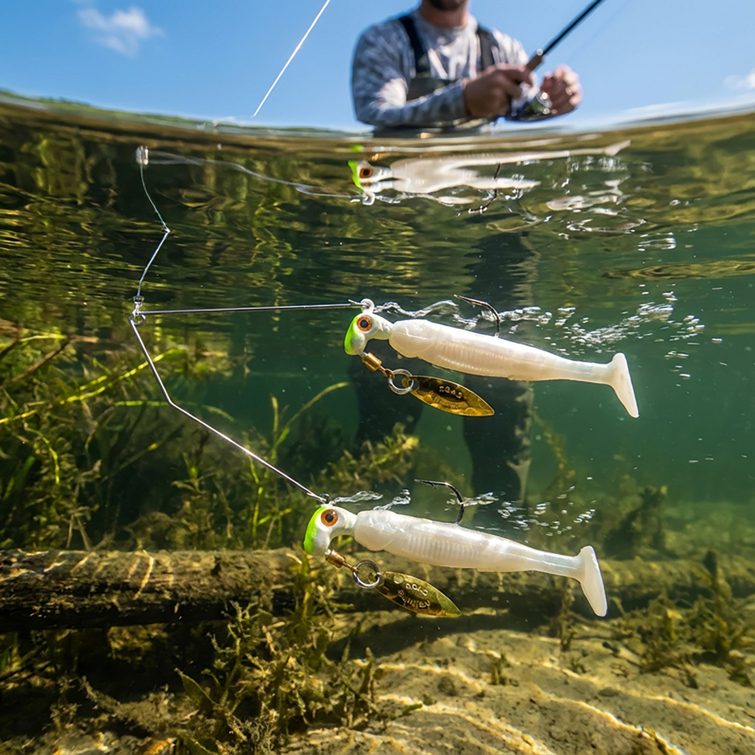 Road Runner® Bang Shad Buffet Rig