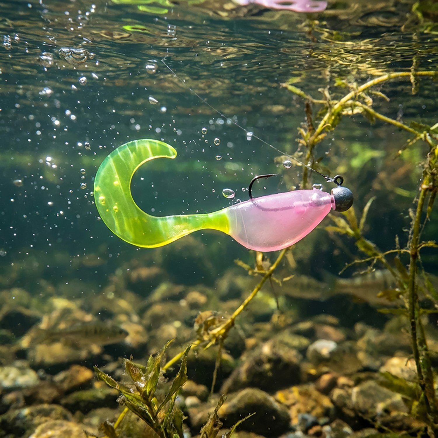 Strike King Mr. Crappie ShadPole CT Swim Baits 15-Pack                                                                           - view number 2