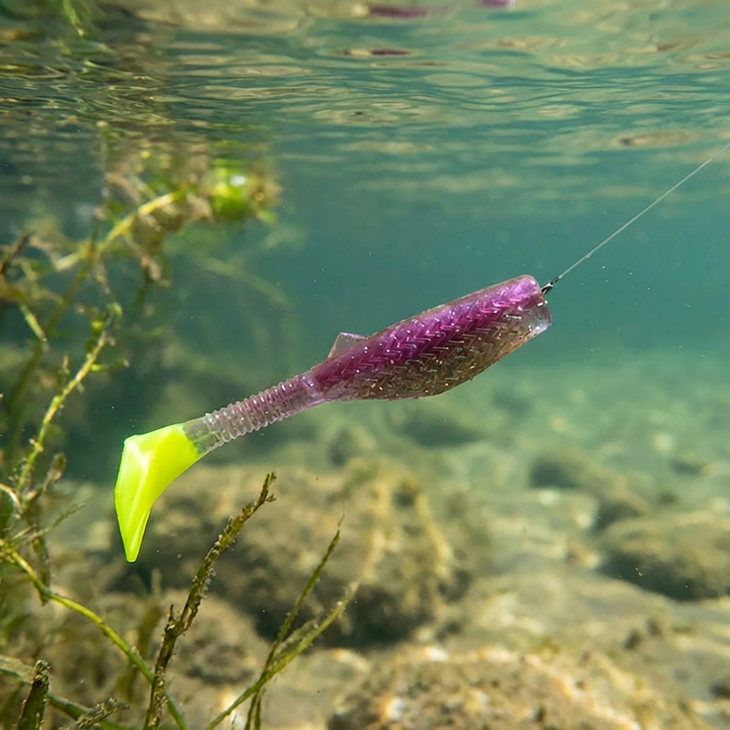 Dockside Vortex Shad 3" V-tail Soft Baits 8-Pack - view number 2