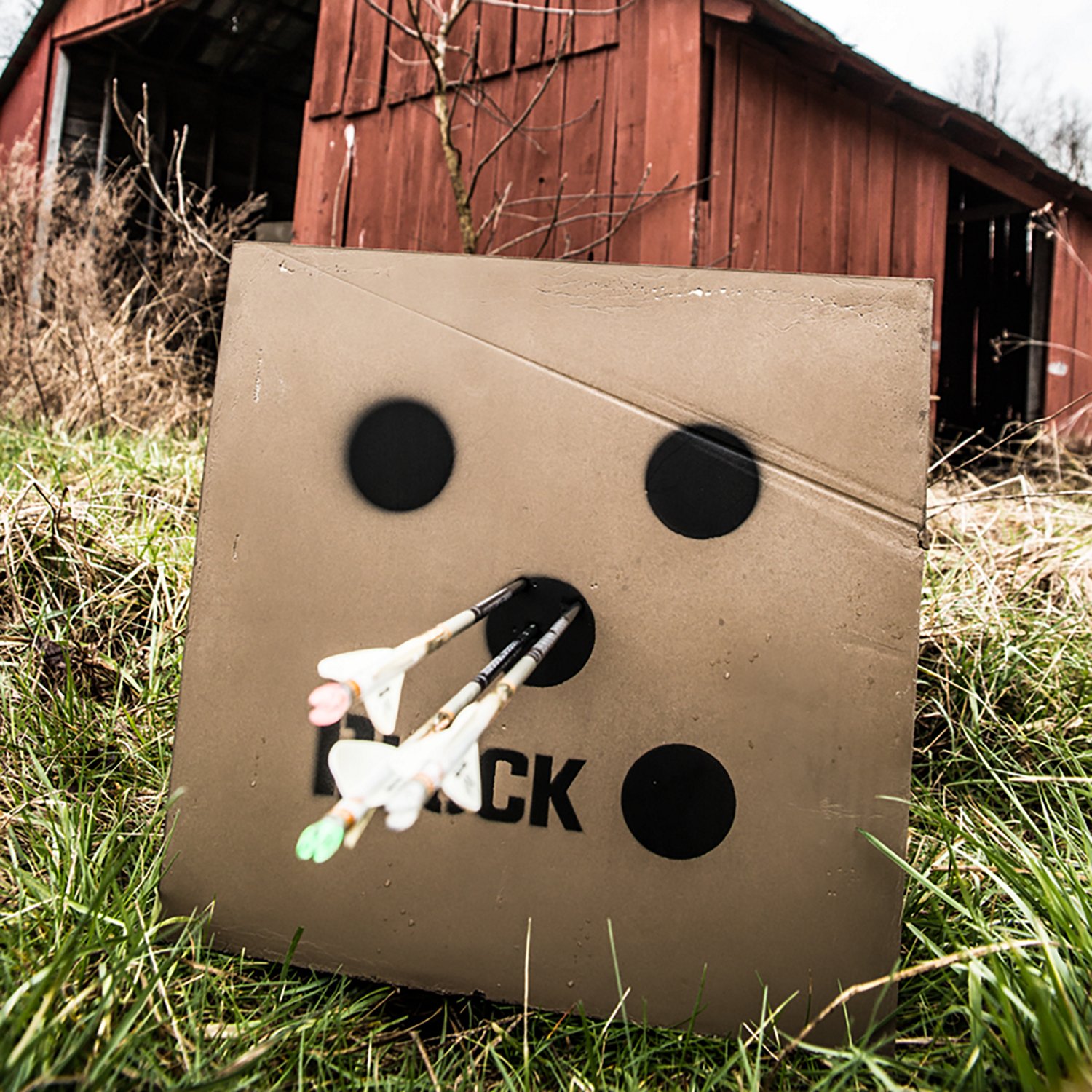BLOCK 6x6 XD Target - view number 7
