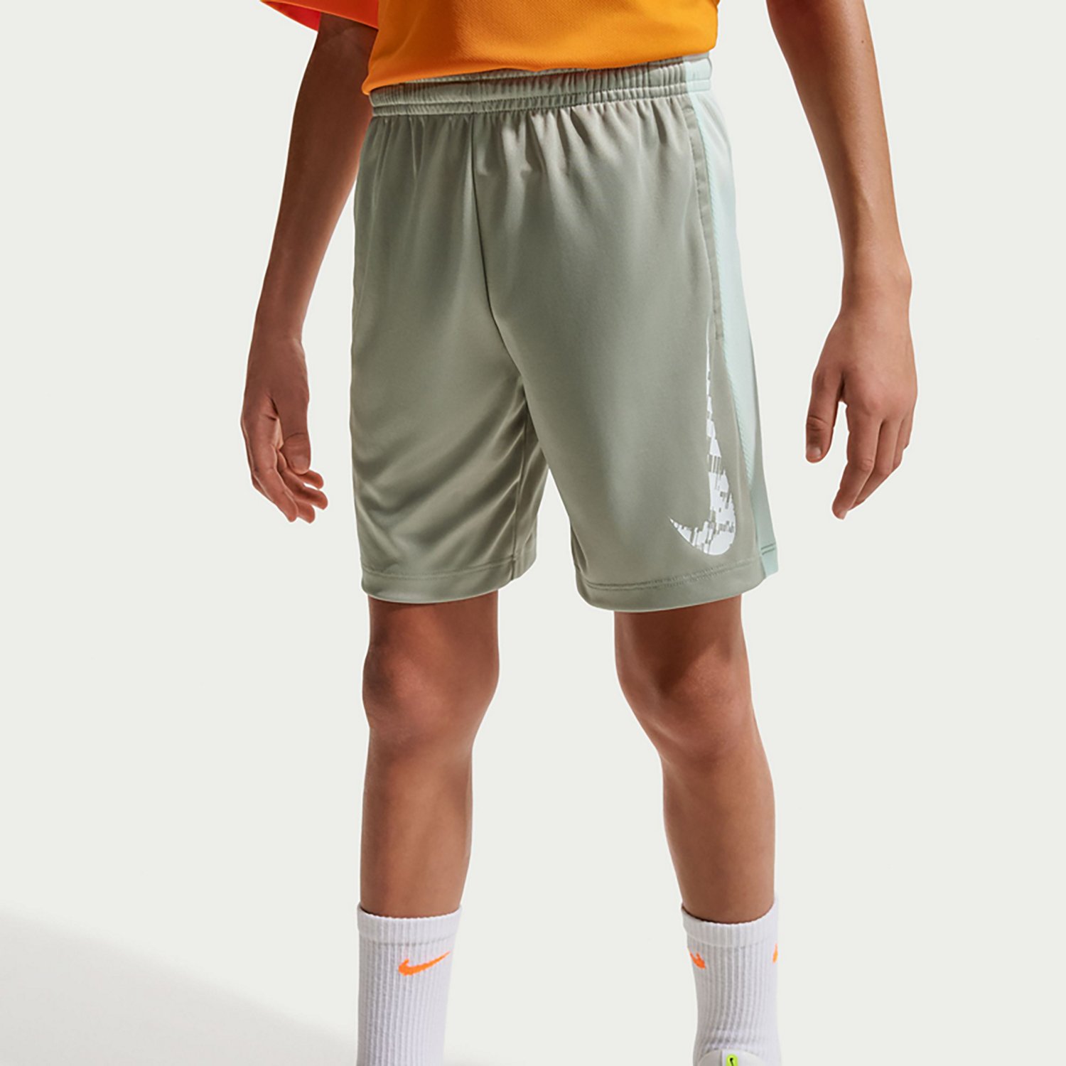 Nike Boys' Dri-FIT Trophy23 Shorts 5 in.