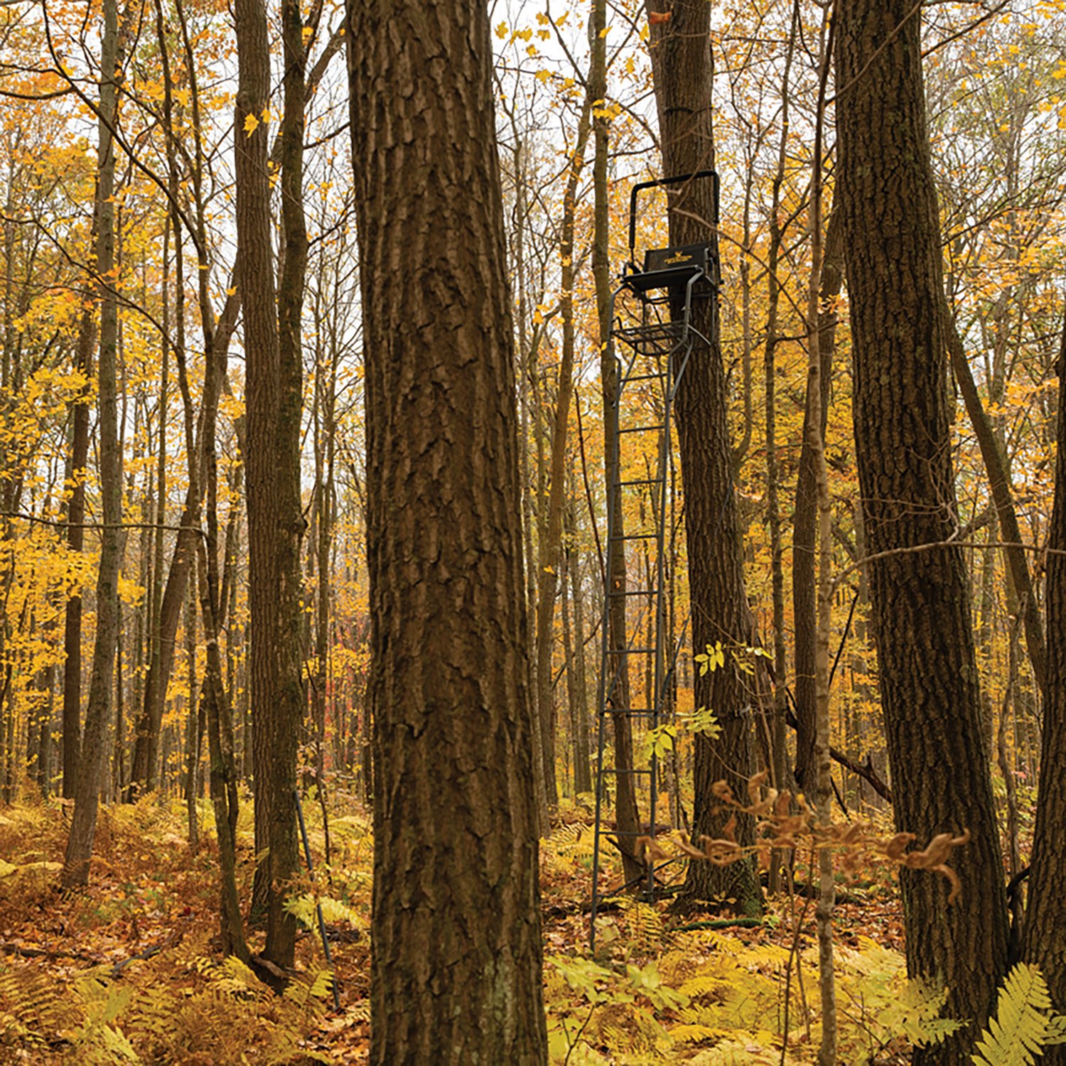 Rivers Edge Big Timber 1.5 Man Ladder Stand - view number 2