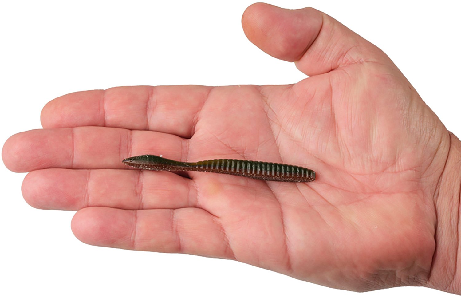 Berkley Lab Series 3.6 in Flat Worms 10-Pack - view number 5