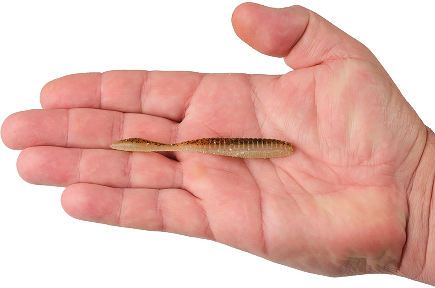 Berkley Lab Series 3.6 in Flat Worms 10-Pack - view number 5