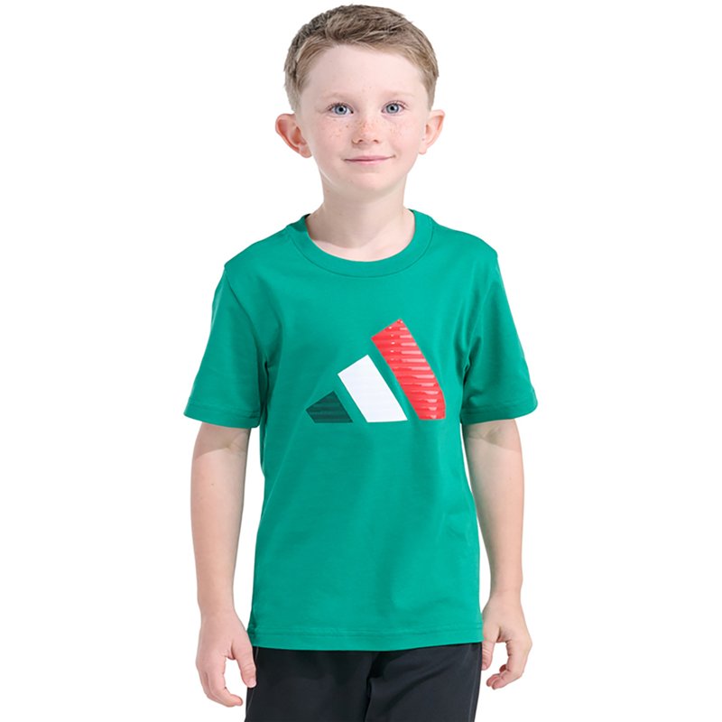 adidas Big Kid Boys Crew Neck Short Sleeve Regular Fit Graphic T-Shirt, Large (14-16), Green