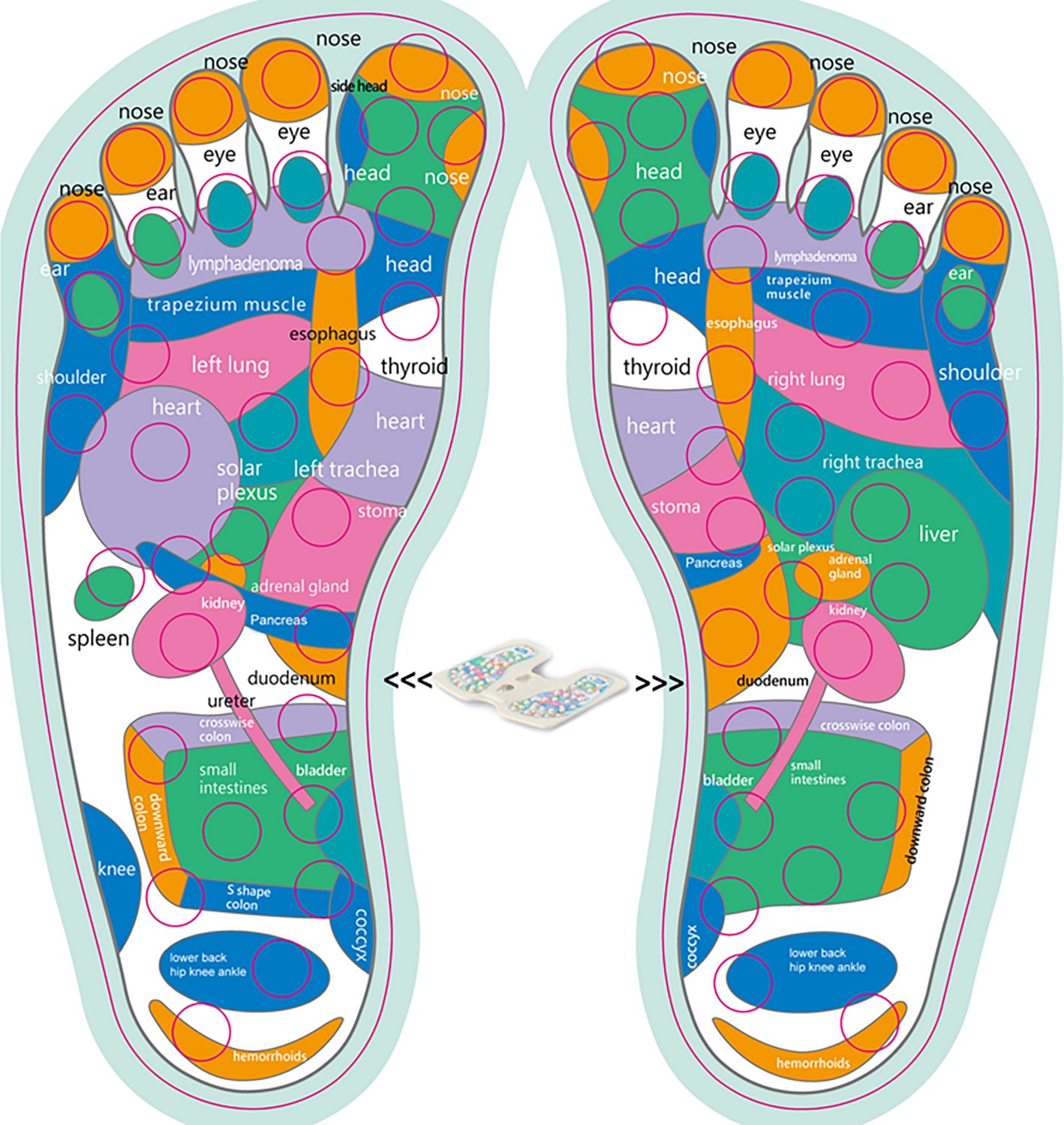 BetaFlex Acupressure Points Leg Stretch Board and Foot Rest - view number 5