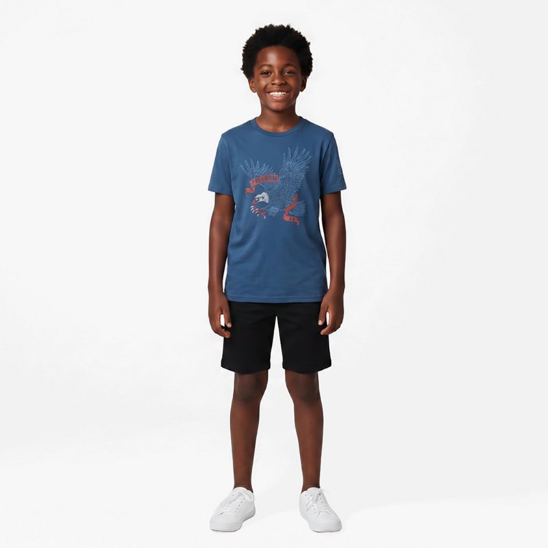 Under Armour Boys' Freedom Eagle Short Sleeve T-shirt