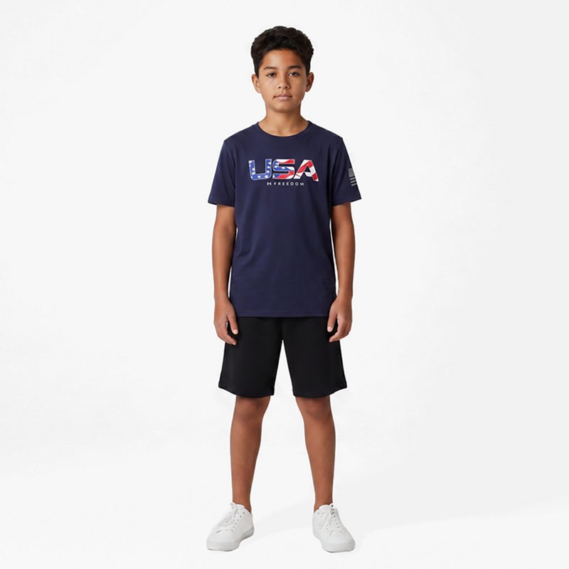 Under Armour Boysâ Freedom Chest Flag T-shirt