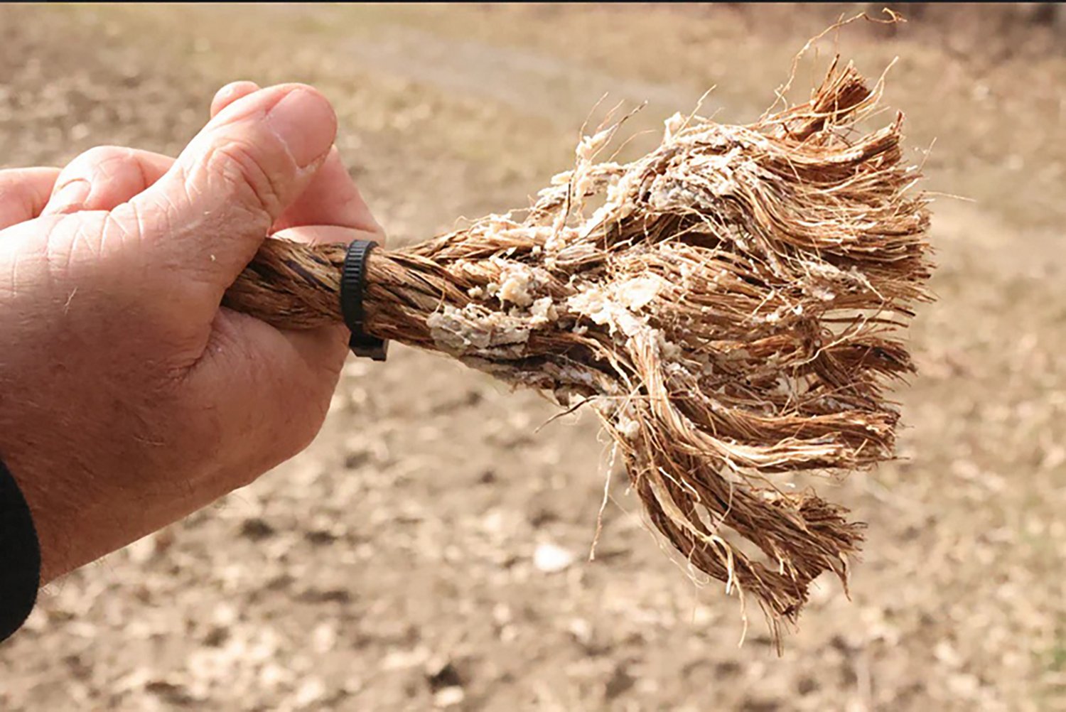 ConQuest Scents Rope Scrape Kit - view number 5