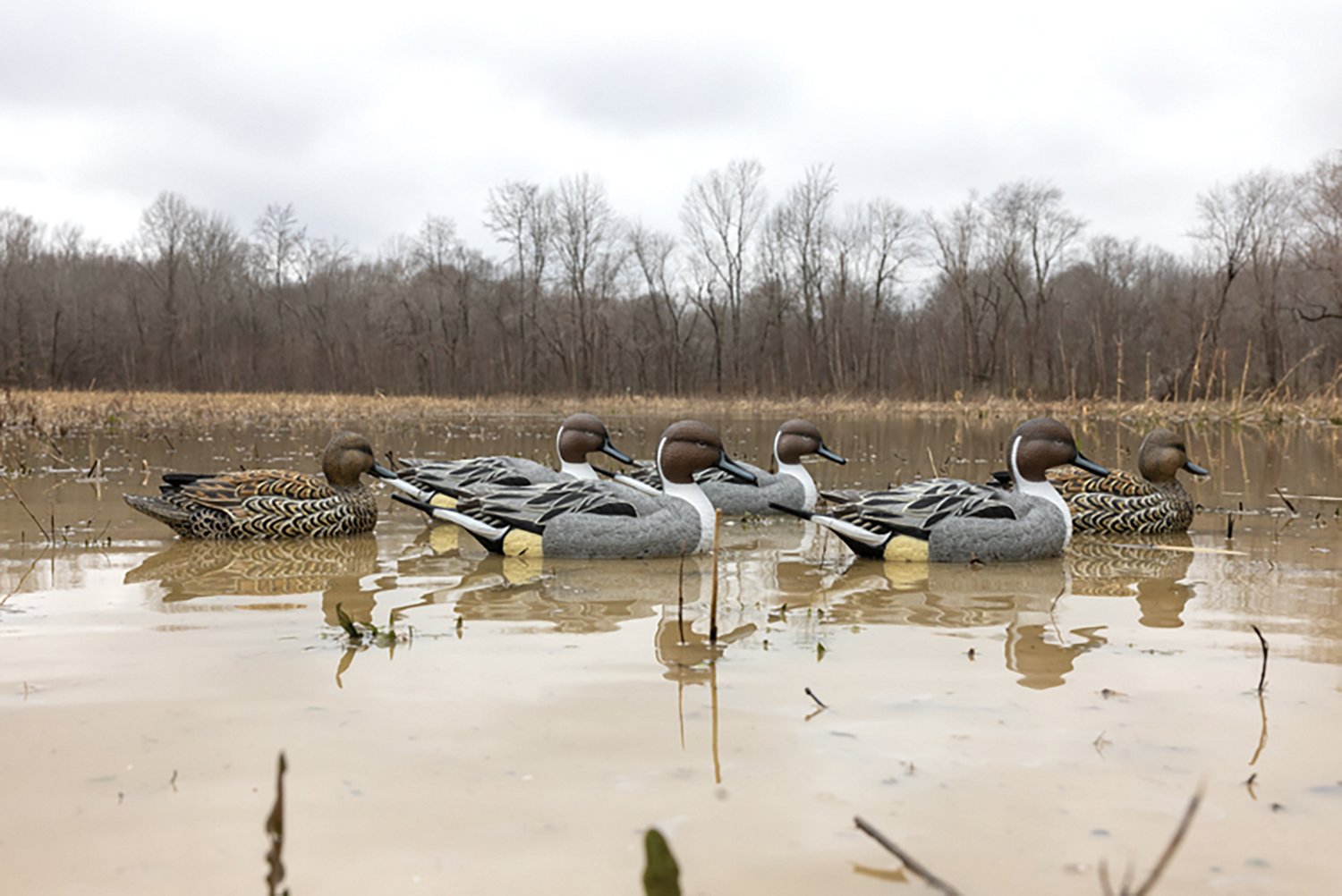 Higdon Legacy Series 3‑D Magnum Pintail Decoys 6‑Pack - view number 3