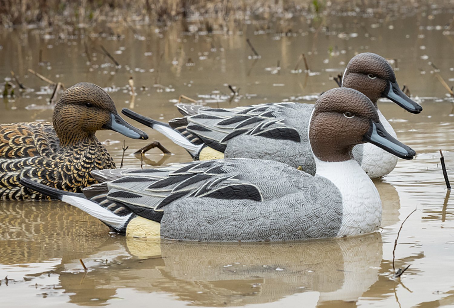 Higdon Legacy Series 3‑D Magnum Pintail Decoys 6‑Pack - view number 4
