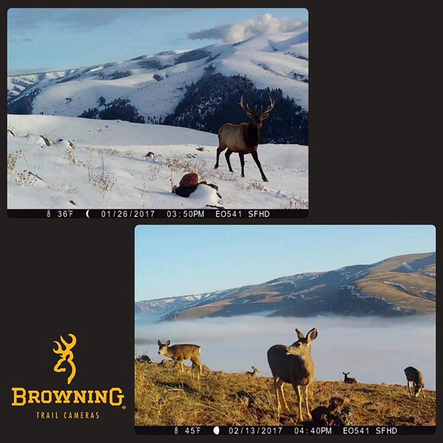 Browning Strike Force Pro X 1080 24.0 MP Infrared Game Camera - view number 5