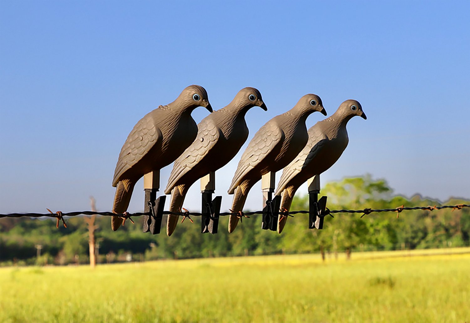 MOJO Outdoors Clip On Dove Decoys 4-Pack - view number 2