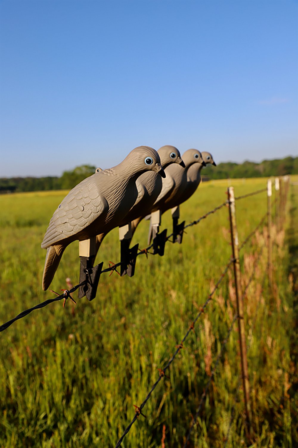 MOJO Outdoors Clip On Dove Decoys 4-Pack - view number 3